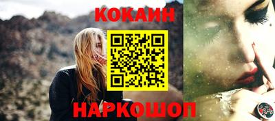 гидра Новодвинск
