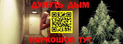 гидра Новодвинск