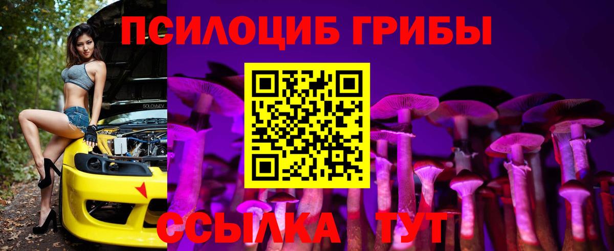 Галлюциногенные грибы мицелий  Вход с VPN  Хабаровск 